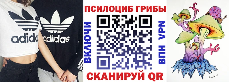 Купить  Саки  Псилоцибиновые грибы Magic Shrooms 